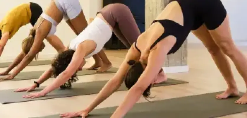 Workshop & Etkinlikler